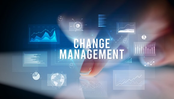 Image for Healthcare Change Management: Strategies for Success