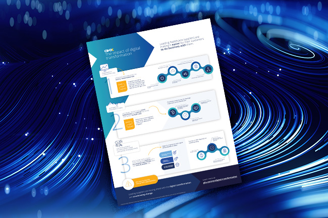 Image for The Impact of Digital Transformation
